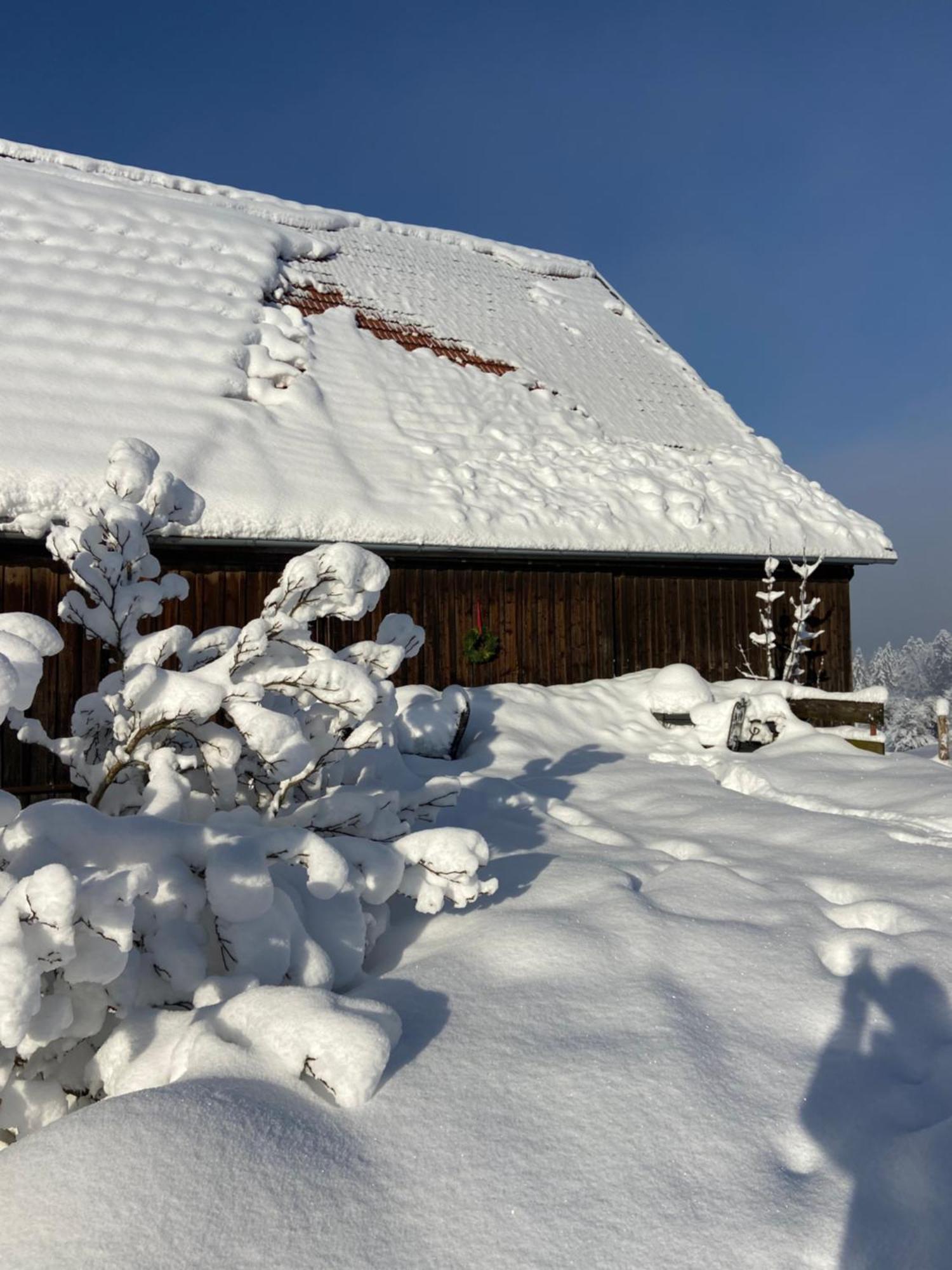 Allgaeu Cottage - Traumhafter Blick In Die Schweizer Berge Weiler-Simmerberg Exterior foto